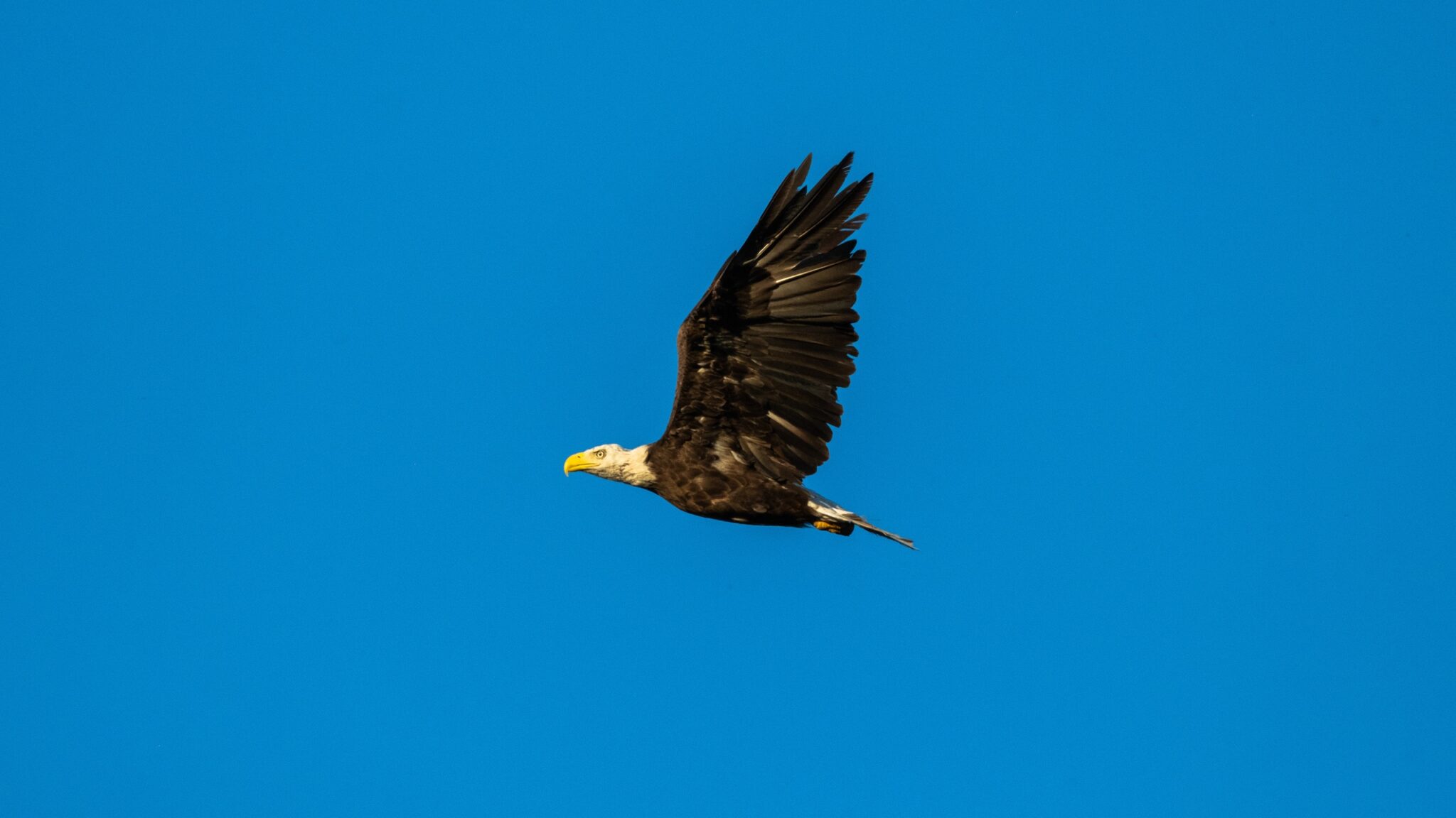 DSCF8730-2